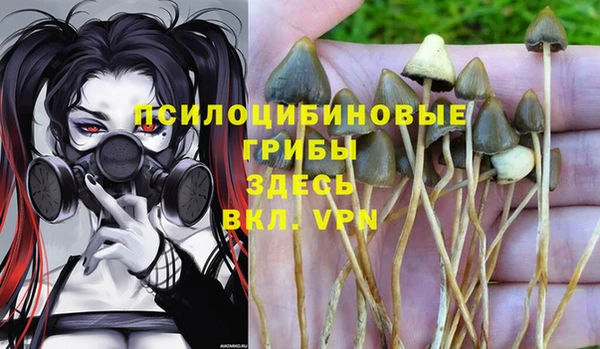 прущая мука Баксан