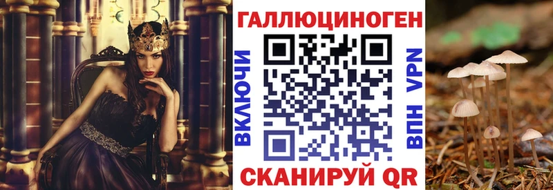Галлюциногенные грибы Psilocybine cubensis  дарнет шоп  Звенигово 